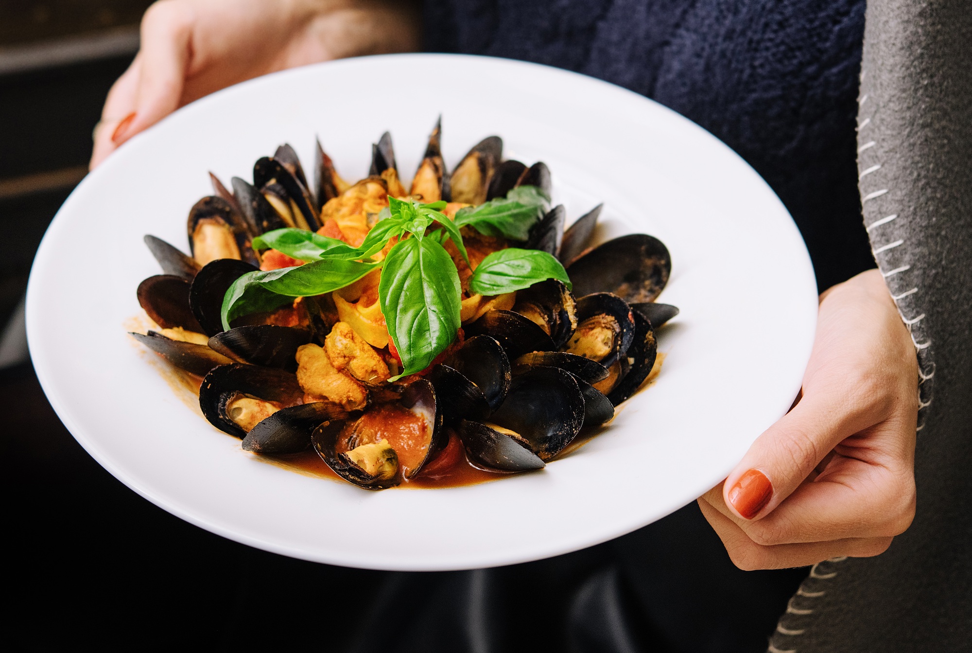 Delicious fresh steamed mussels in white wine sauce in a white plate
