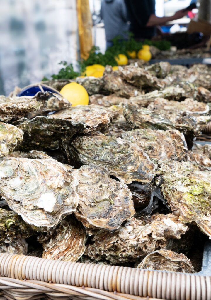 Combien de moules dans 1 litre ? Explorez l’univers fascinant des coquillages
