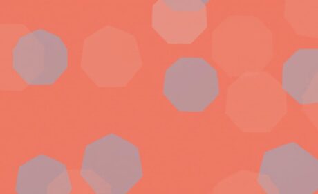 Les meilleures méthodes de dératisation à Marseille pour un foyer sain